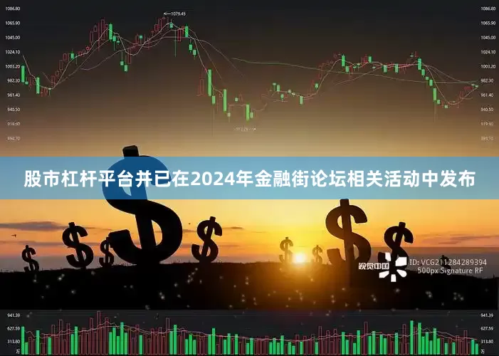 股市杠杆平台并已在2024年金融街论坛相关活动中发布