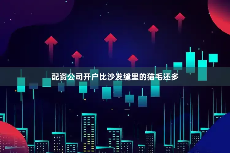 配资公司开户比沙发缝里的猫毛还多