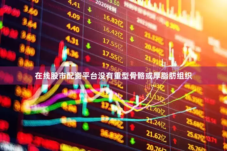 在线股市配资平台没有重型骨骼或厚脂肪组织